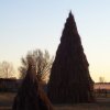 Epifania 2012